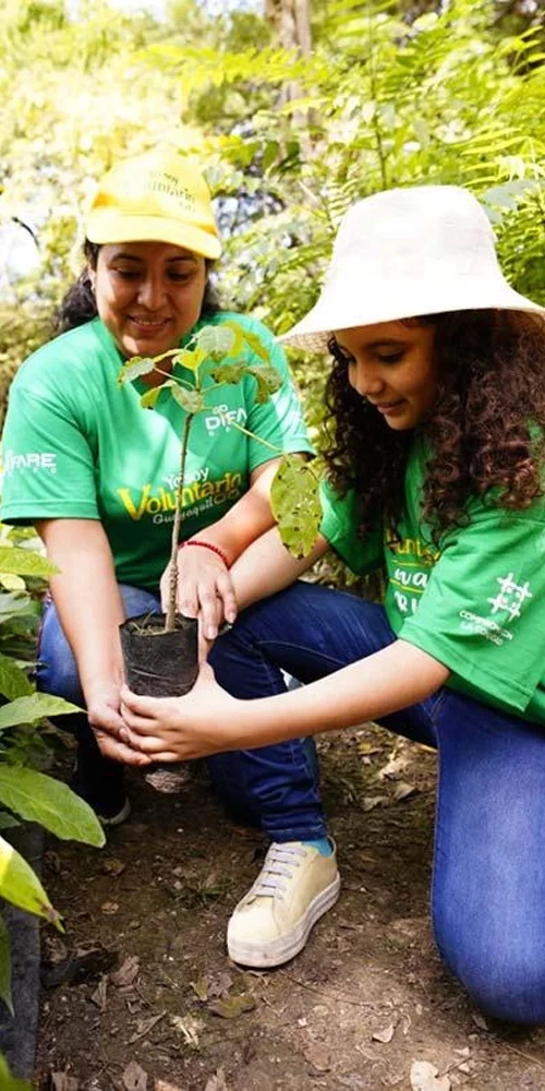 Curso de ciencias ambientales en Nueva Zelanda